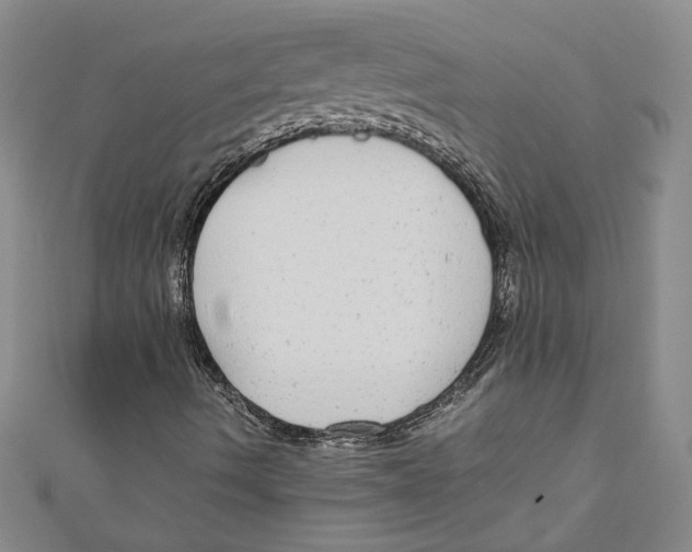 X0000110951490200907171617