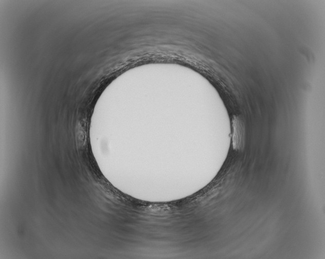X0000110951491200907171617