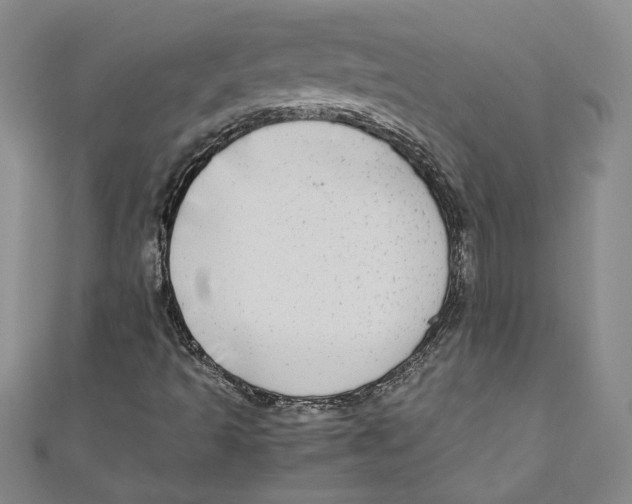 X0000110951493200907171617