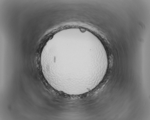 X0000110951494200907171617