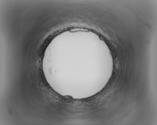 X0000110951495200907171617