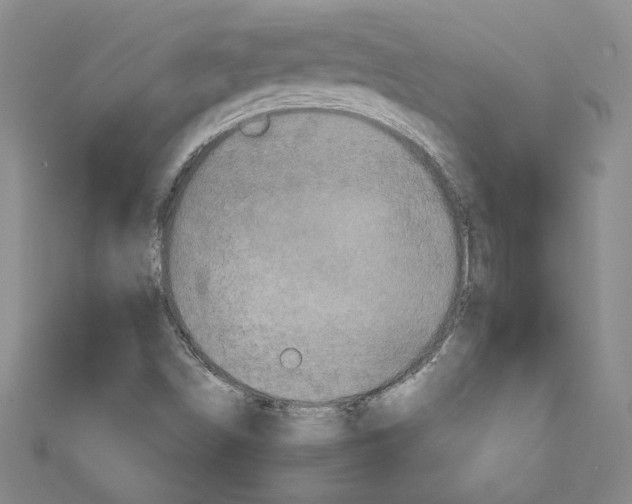 X0000110951498200907171617