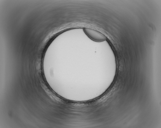 X0000110951499200907171617