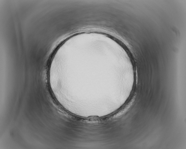 X0000110951501200907171617