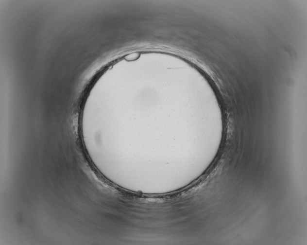 X0000110951503200907171617