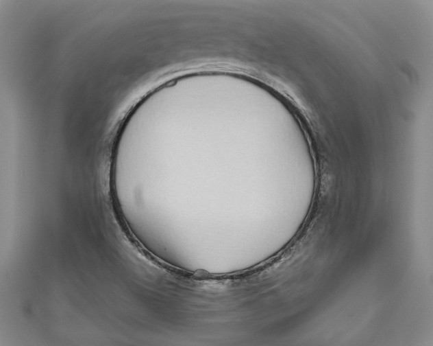 X0000110951504200907171617