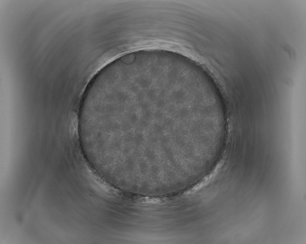 X0000110951505200907171617