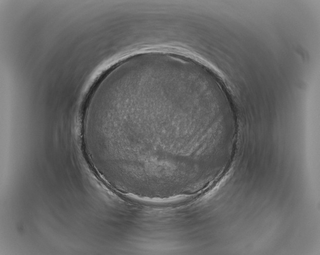 X0000110951506200907171617