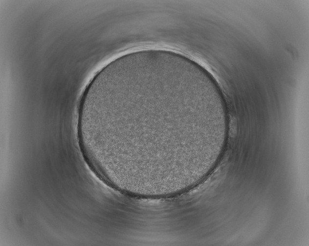 X0000110951508200907171618