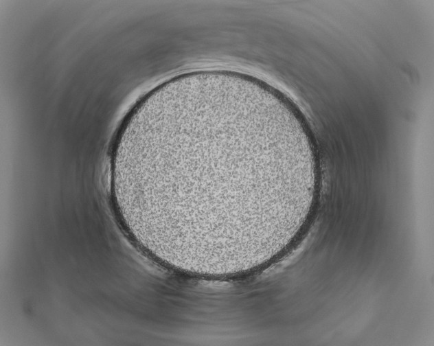X0000110951509200907171618