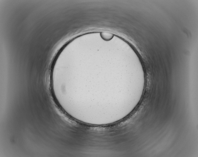 X0000110951511200907171618