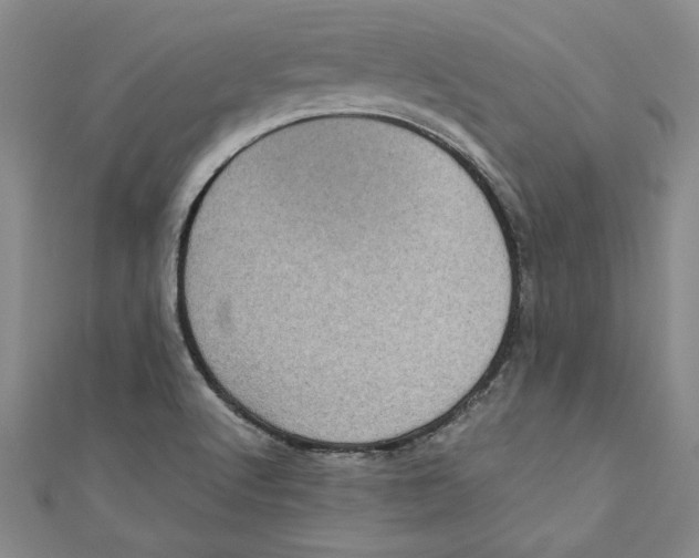 X0000110951512200907171618