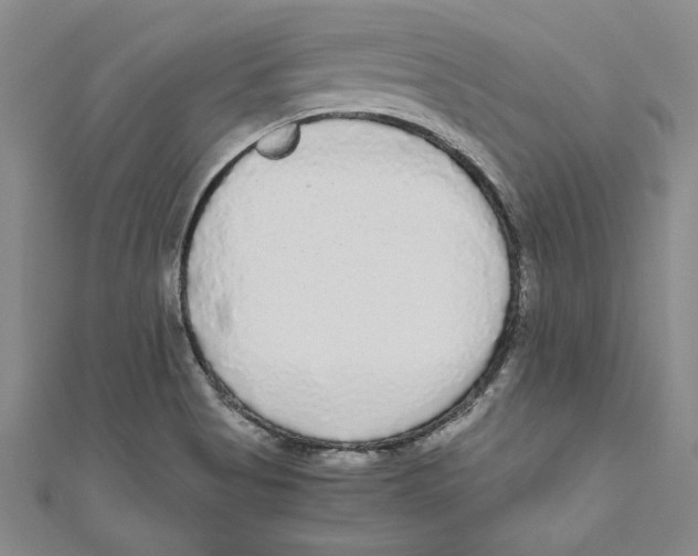 X0000110951513200907171618