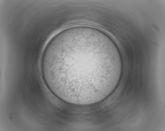 X0000110951514200907171618