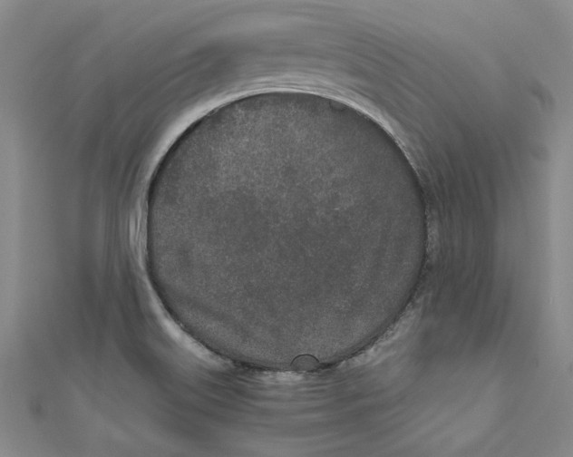 X0000110951515200907171618