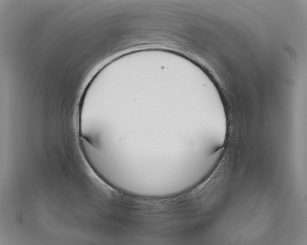 X0000110951516200907171618