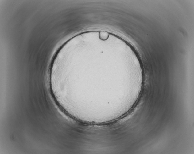X0000110951517200907171618