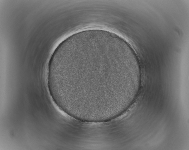 X0000110951519200907171618