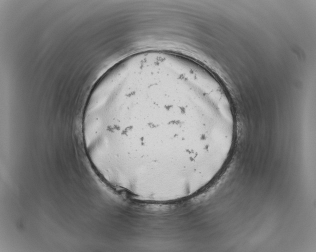 X0000110951521200907171618