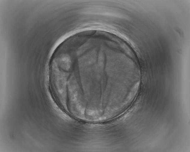 X0000110951522200907171618