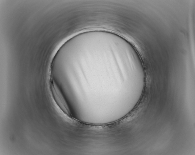 X0000110951524200907171618