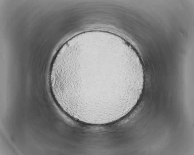 X0000110951525200907171618