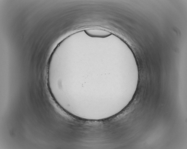 X0000110951526200907171618
