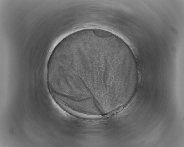 X0000110951527200907171618