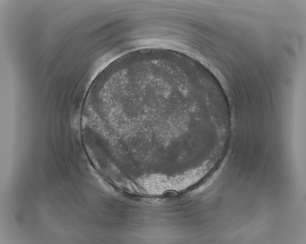 X0000110951529200907171618