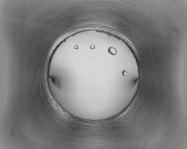 X0000110951530200907171618
