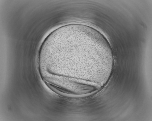 X0000110951531200907171618