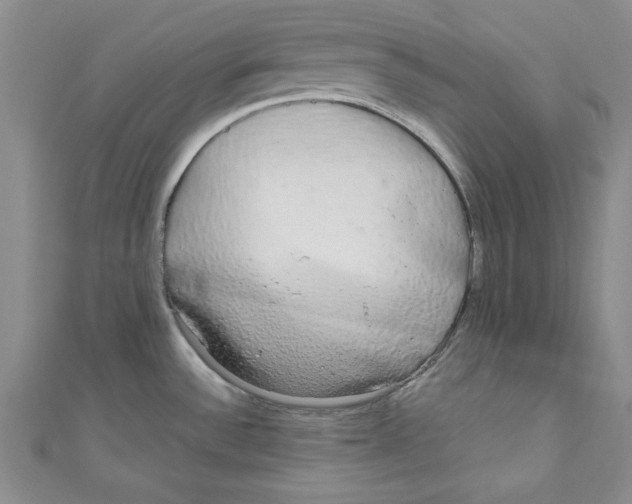 X0000110951532200907171618