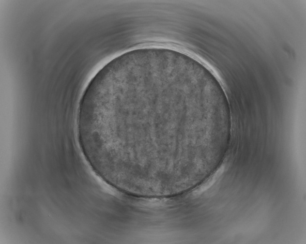 X0000110951533200907171618