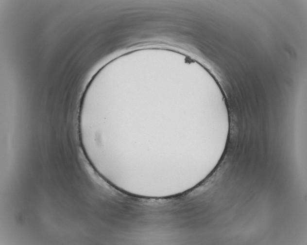 X0000110951534200907171618