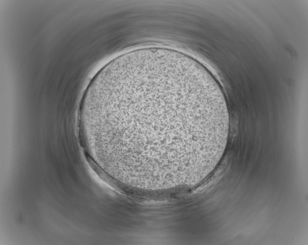 X0000110951535200907171618