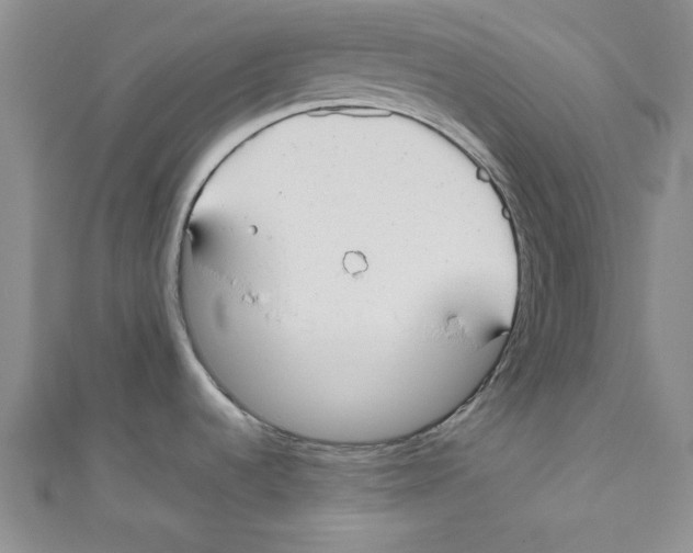 X0000110951536200907171618