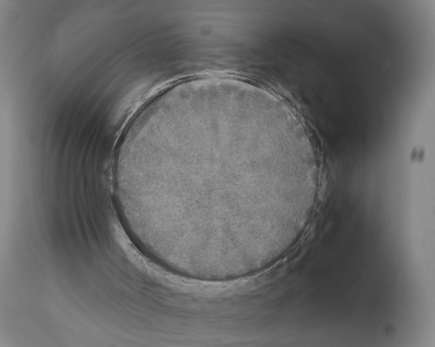 X0000110950002200907311053