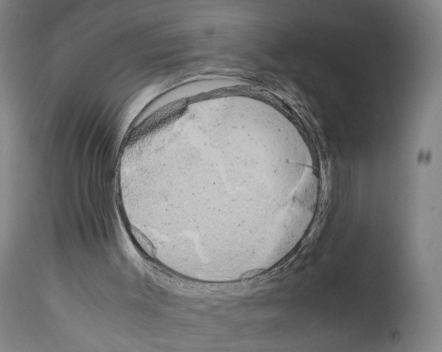 X0000110950003200907311053