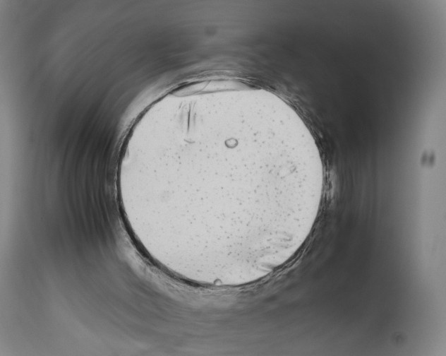 X0000110950004200907311053