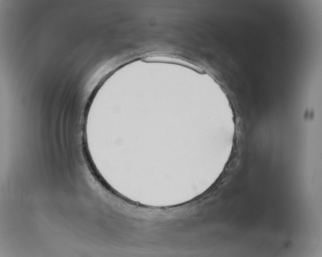 X0000110950007200907311053