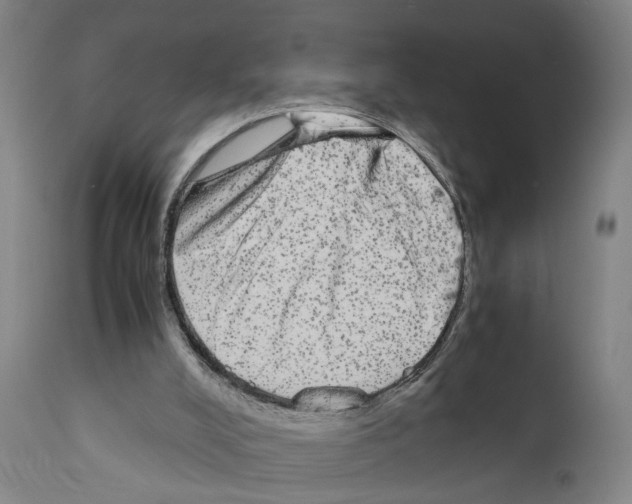 X0000110950008200907311053