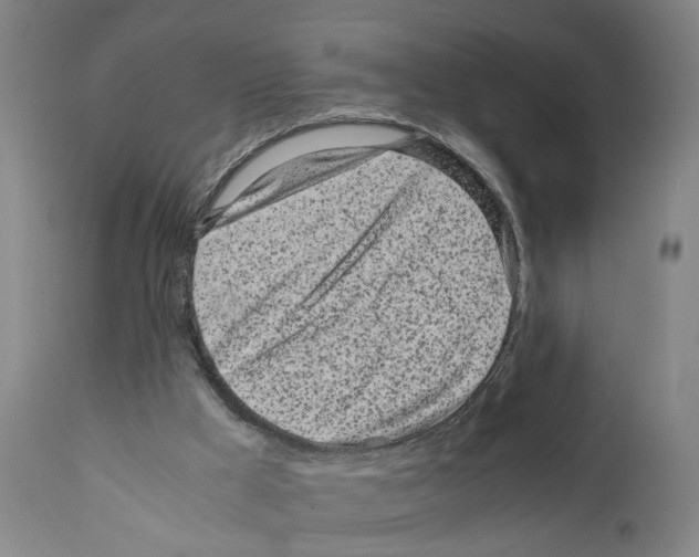 X0000110950009200907311053