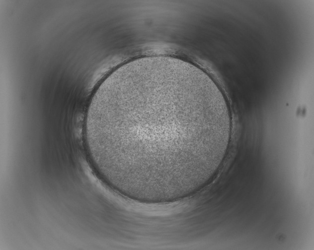 X0000110950010200907311053