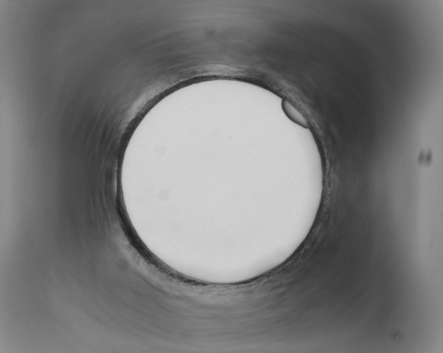 X0000110950011200907311053