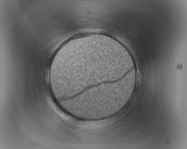 X0000110950013200907311053