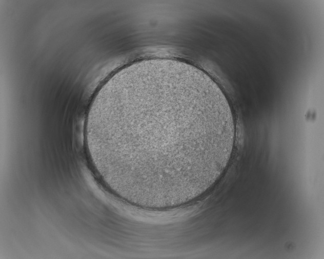 X0000110950014200907311053