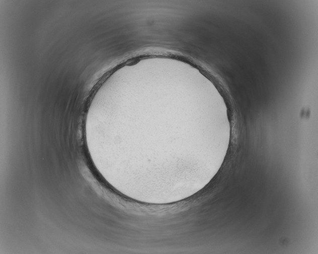 X0000110950015200907311053