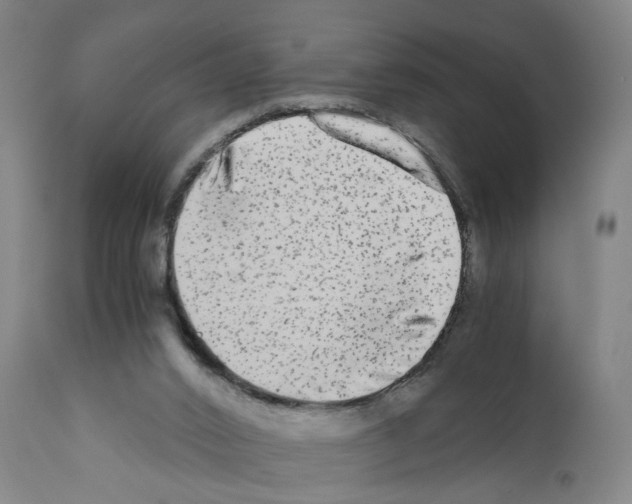 X0000110950016200907311053