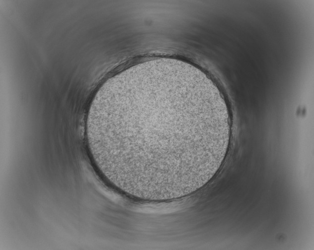 X0000110950017200907311053