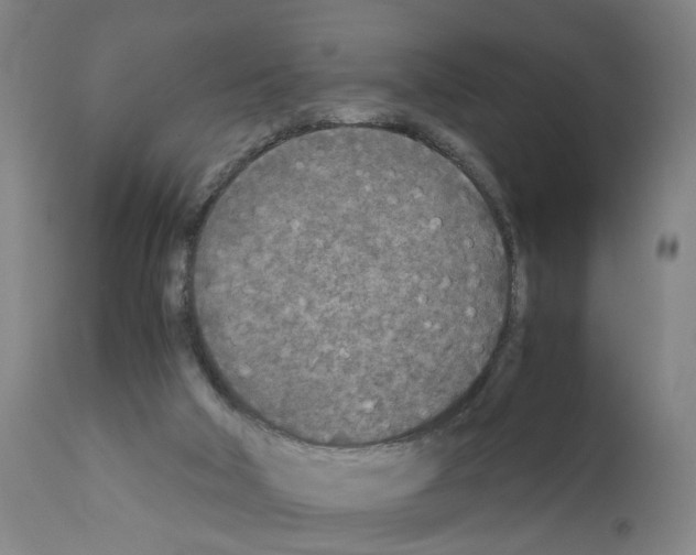 X0000110950018200907311053